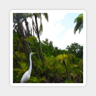 The Great Egret Magnet