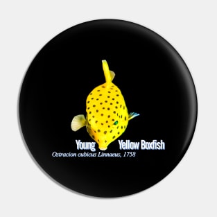 Young Yellow Boxfish Pin