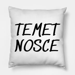 Temet nosce Pillow