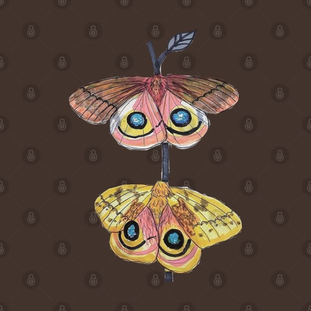 IO Moths: A Study in Dimorphism by Animal Surrealism