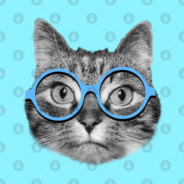 Cute hipster cat wearing big blue eyeglasses by Purrfect