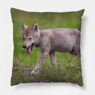 Timber Wolf Pup Pillow