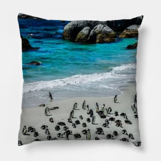 African Penguins at the beach Pillow