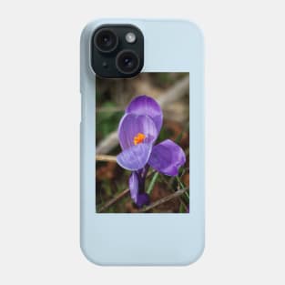 Wild crocus Phone Case