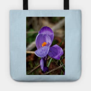 Wild crocus Tote