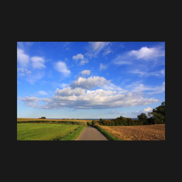 Path between the fields by SteffaniLehmann