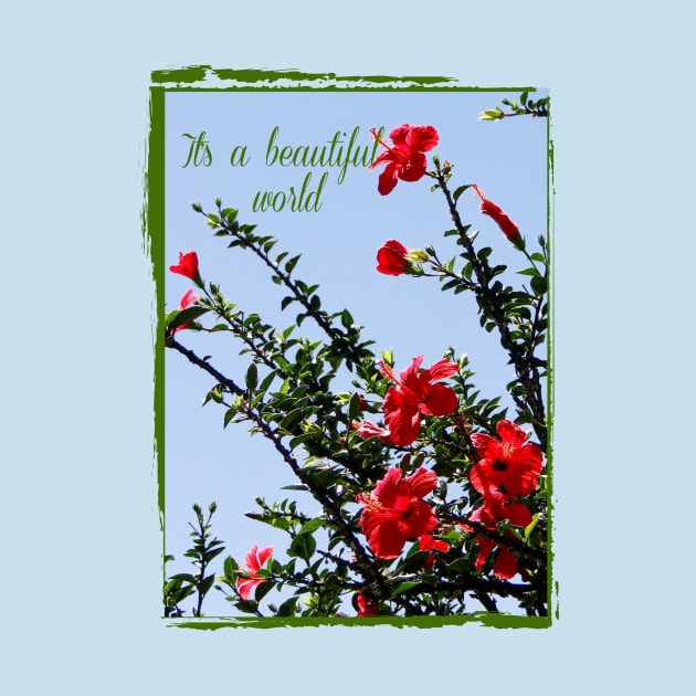 beautiful world with hibiscus tree on the blue sky into vintage frame by Alina