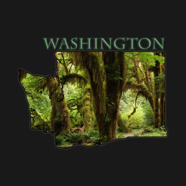 Washington State Outline (Olympic National Park & Forest) by gorff