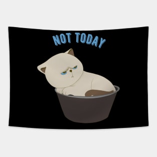 Lazy Cat Nope not Today funny sarcastic messages sayings and quotes Tapestry