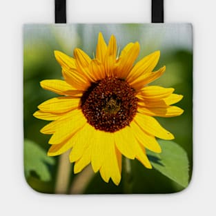 Sunflower close up Tote