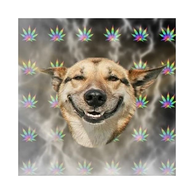 Stoner Dog by FlashmanBiscuit