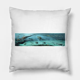 Ordovician sea, illustration (C039/0813) Pillow