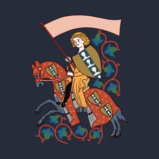 Cute and colourful Medieval knight Illustration T-Shirt