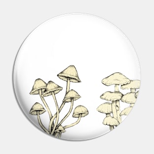 Assorted Fungi || Scientific Mycology Print Pin