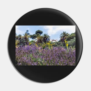 Lush purple sage flowers with palms in the background Pin