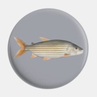 Tiger Fish Pin