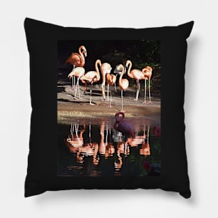 Caribbean Flamingo Pillow