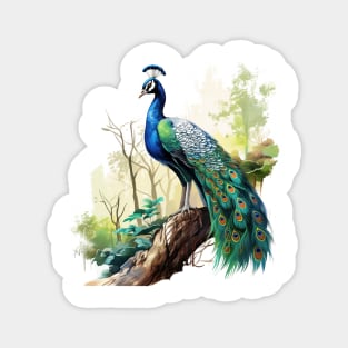 Peafowl Magnet