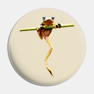 calm frog Pin