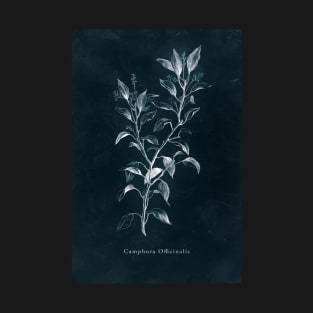 Cyanotype - Camphora Officinalis T-Shirt