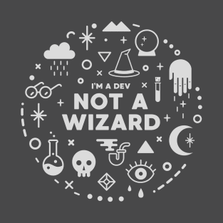 I'm a Developer, not a Wizard - Programming T-Shirt