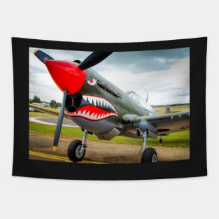 P-40 Warhawk Tapestry