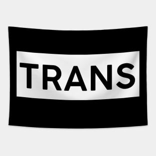 Trans Square Tapestry