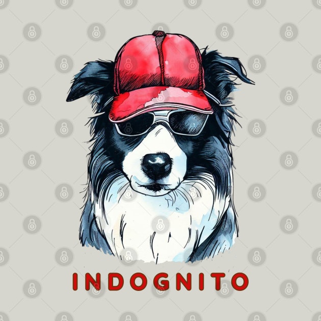 Border Collie Indognito by ZogDog Pro