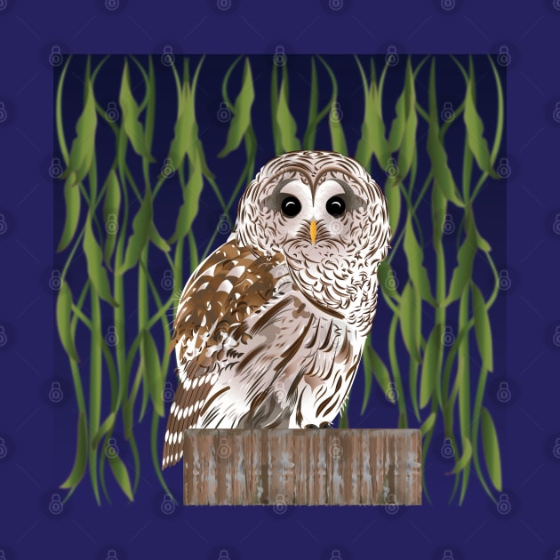 Barred Owl by DQDesigns By Chele