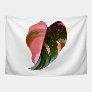 Pink Princess Philodendron Tapestry