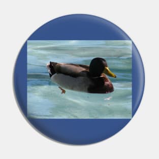 Like a duck in water Pin