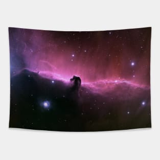 Horsehead Nebula Tapestry