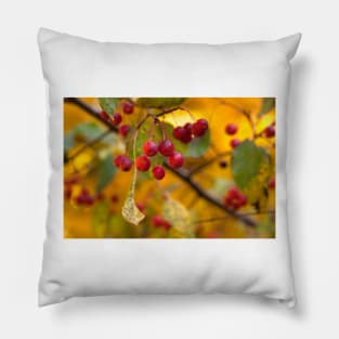 Weeping Crabapple Pillow