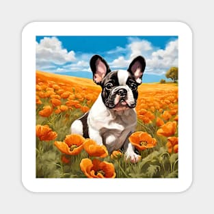 California Poppy French Bulldog Puppy Magnet