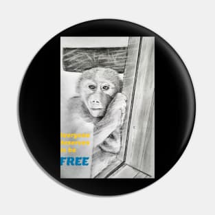 Everyone deserves to be free - monkey Pin