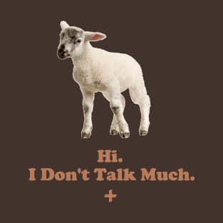 Hi. I Don't Talk Much. T-Shirt