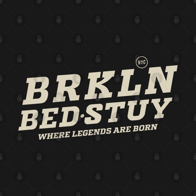 Bed-Stuy Beats - Unveiling the Heartbeat of Hip-Hop by Boogosh