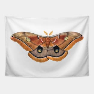 Polyphemus Moth Tapestry