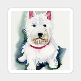 West Highland White Terrier Watercolor Painting - Dog Lover Gifts Magnet