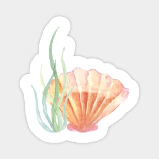 seashell Magnet