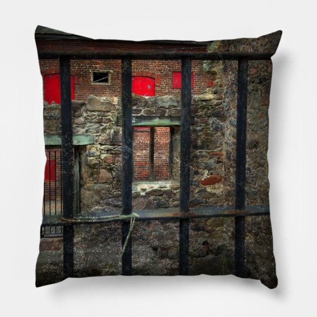 Painted Red Pillow by Susan Werby