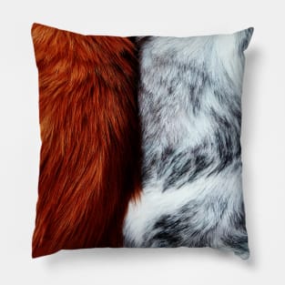 ginger cats fluffy fur Pillow