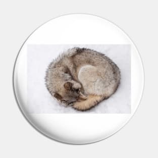 Ball of Wolf Pin