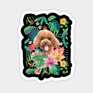 Tropical Red Toy Poodle 1 Magnet