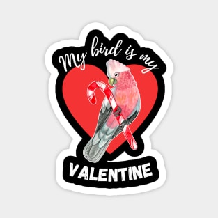 My Bird is My Valentine - Galah Magnet