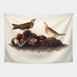 Brown Lark from Birds of America (1827) Tapestry