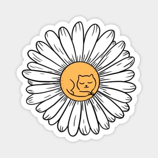 Cat daisy flower Magnet