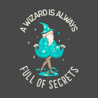 Funny Stocking Wizard T-Shirt