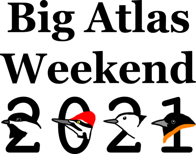 Big Atlas Weekend 2021 Kids T-Shirt by mainebirdatlas