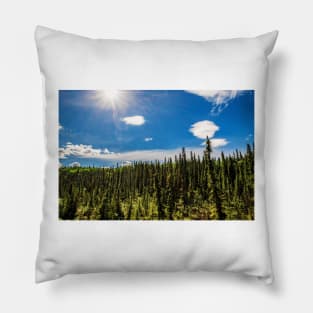 Bright Sun and Forest Pillow